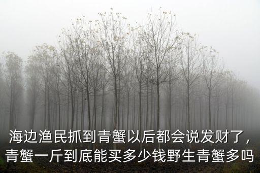 煙臺青蟹價格多少,野生青蟹多嗎