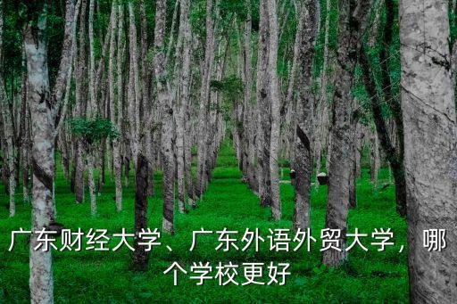 廣東財經(jīng)大學(xué)校卡在哪里充值,廣東財經(jīng)大學(xué)