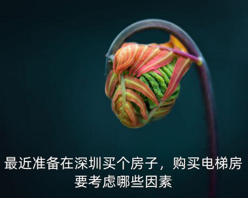 深圳怎么買整棟電梯房,最近準備在深圳買個房子