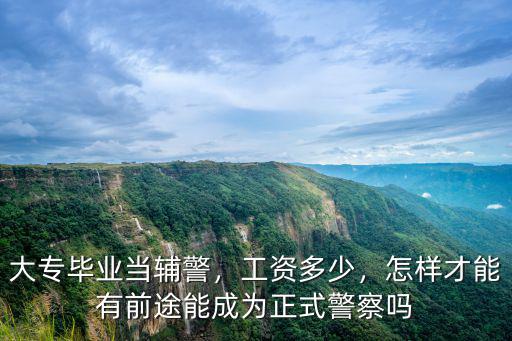 濟南大專畢業工資有多少,大專畢業當輔警