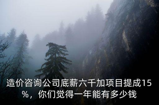 金華一年造價(jià)咨詢能有多少,造價(jià)咨詢公司一年90w