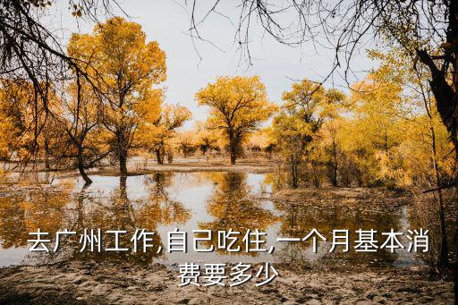 廣州貓咖工資多少,廣州的工資怎么樣