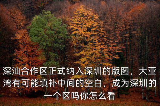 深圳市長怎么了,保定深圳園怎么沒動靜了