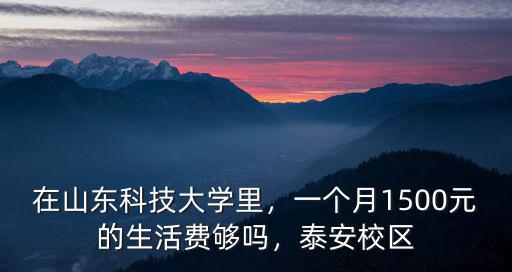 山東的大學生每月生活費是多少錢,在山東科技大學里