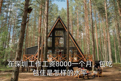 在深圳工作工資8000一個月，包吃包住是怎樣的水平