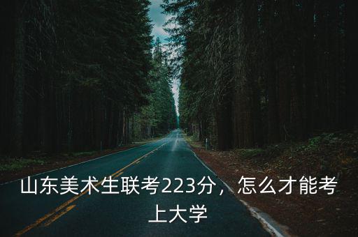 山東美術(shù)生聯(lián)考223分，怎么才能考上大學(xué)