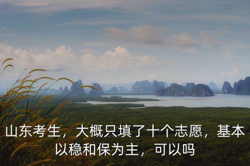 山東報考志愿要填多少個,山東的本科征集志愿填多少個