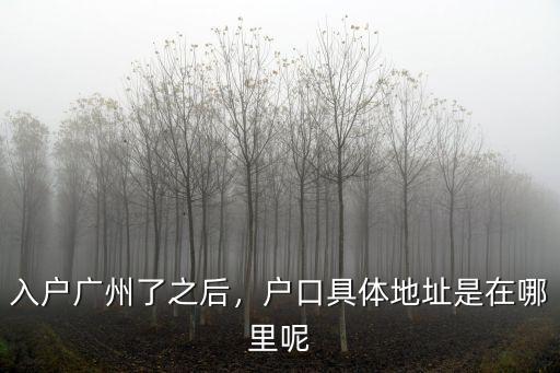 廣州落戶具體落在哪里,戶口具體地址是在哪里呢
