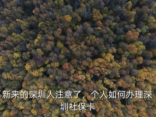 深圳社保的醫(yī)保卡怎么辦理流程,個人如何辦理深圳社保卡