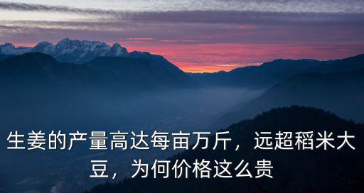 生姜的產(chǎn)量高達(dá)每畝萬斤，遠(yuǎn)超稻米大豆，為何價(jià)格這么貴