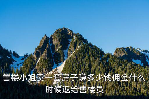 濟寧售樓小姐賣房提成多少點,傭金什么時候返給售樓員