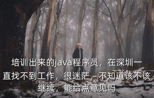 怎么在深圳找程序員,在深圳一直找不到工作
