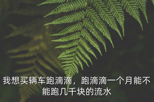 查詢杭州跑滴滴一天流水跑多少,我想買輛車跑滴滴