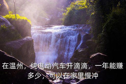在溫州，純電動汽車開滴滴，一年能賺多少，可以在家里慢沖
