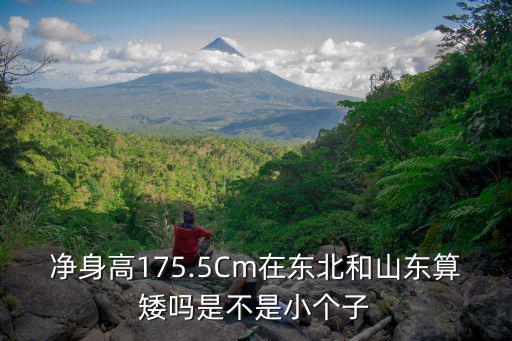 凈身高175.5Cm在東北和山東算矮嗎是不是小個(gè)子