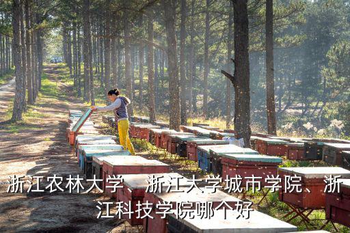 浙江農(nóng)林大學(xué)、浙江大學(xué)城市學(xué)院、浙江科技學(xué)院哪個(gè)好