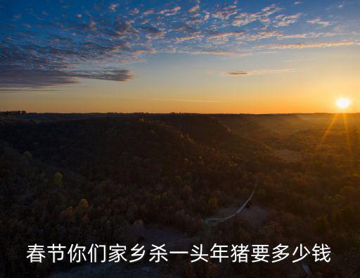春節你們家鄉殺一頭年豬要多少錢