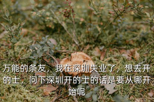 深圳怎么去出租車公司租車,我在深圳失業了