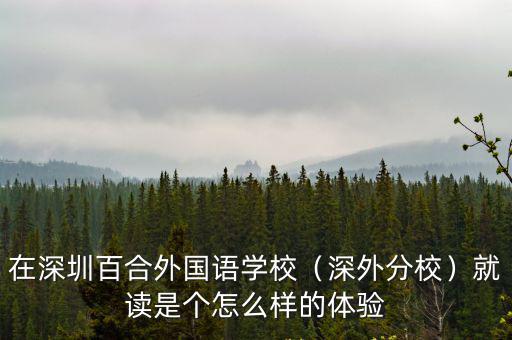 在深圳百合外國語學校（深外分校）就讀是個怎么樣的體驗