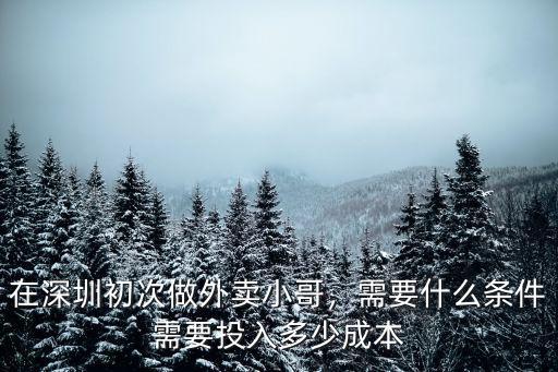 在深圳初次做外賣小哥，需要什么條件需要投入多少成本