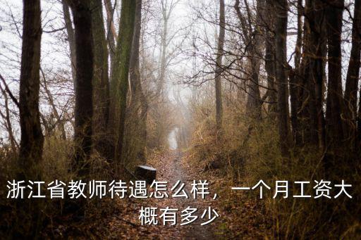 麗水中學(xué)老師工資多少,一個月工資大概有多少