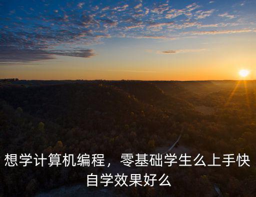 河源怎么零基礎(chǔ)學(xué)it效果好,自學(xué)效果好么
