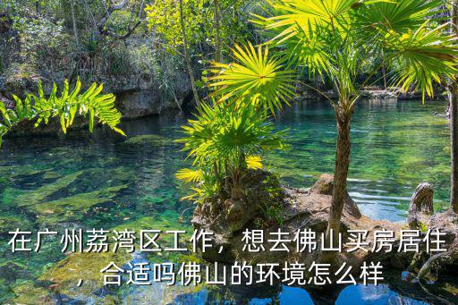 在廣州荔灣區(qū)工作，想去佛山買(mǎi)房居住，合適嗎佛山的環(huán)境怎么樣