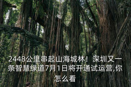 深圳新開綠道怎么樣,去深圳旅游怎么樣