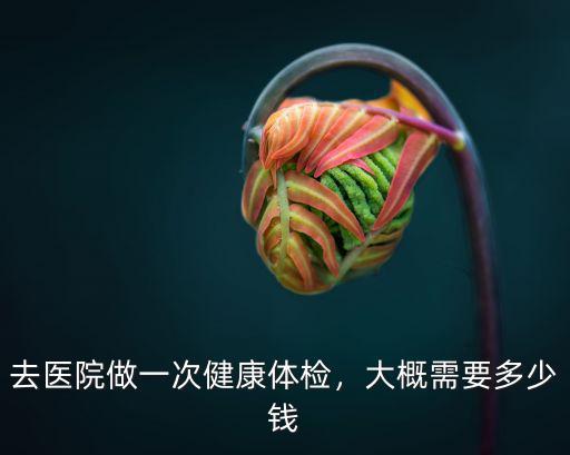 去醫院做一次健康體檢，大概需要多少錢
