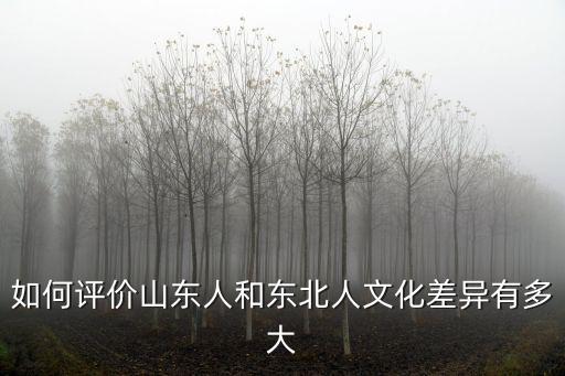 山東人有多少個性,如何評價山東人和東北人