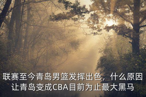 聯賽至今青島男籃發揮出色，什么原因讓青島變成CBA目前為止最大黑馬