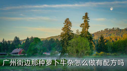 廣州牛雜粉怎么做,廣東牛雜的甜醬怎么做