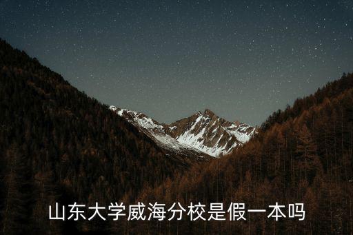 山大威海分校收費多少,山大威海分校怎么樣