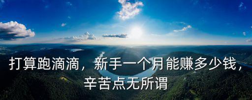 杭州跑快狗一月能賺多少,新手一個月能賺多少錢