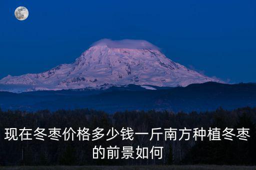 濱州冬棗二代多少錢一斤,南方種植冬棗的前景如何