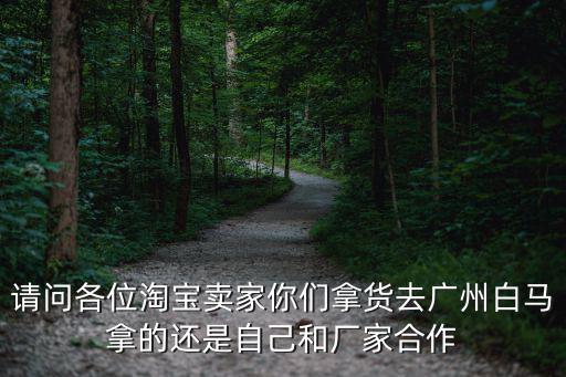 請問各位淘寶賣家你們拿貨去廣州白馬拿的還是自己和廠家合作