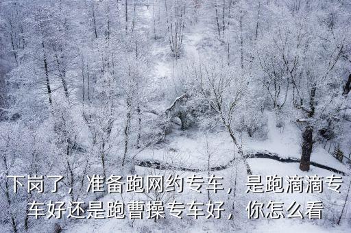 下崗了，準備跑網約專車，是跑滴滴專車好還是跑曹操專車好，你怎么看