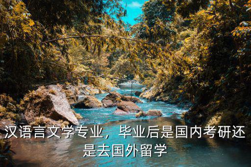 漢語言文學專業，畢業后是國內考研還是去國外留學