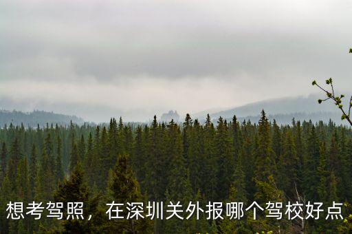 深圳一通駕校地址在哪里,在深圳考駕照