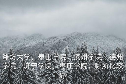 濰坊大學(xué)，泰山學(xué)院，濱州學(xué)院，德州學(xué)院，濟(jì)寧學(xué)院，棗莊學(xué)院，哪所比較好