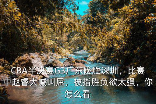 深圳哪里可以看cba比賽,怎么看cba第十四輪