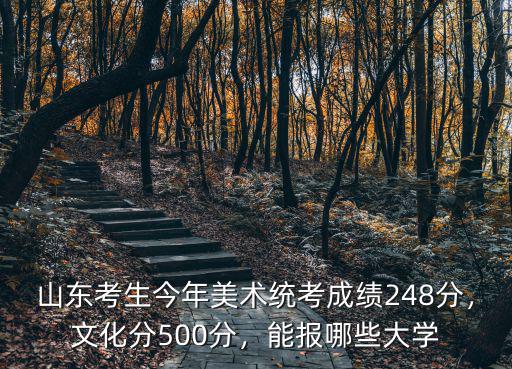 山東考生今年美術統考成績248分，文化分500分，能報哪些大學