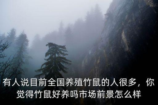 清遠哪里有養殖竹鼠的,哪里有竹鼠賣
