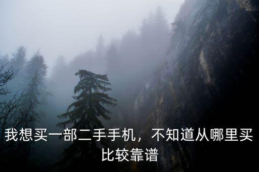 我想買一部二手手機，不知道從哪里買比較靠譜