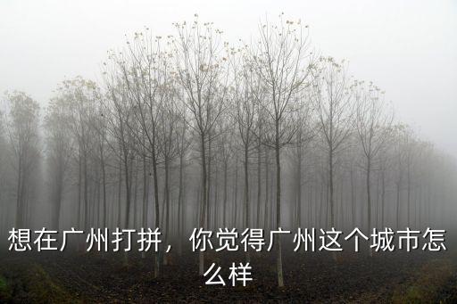 在廣州怎么樣了,想在廣州打拼