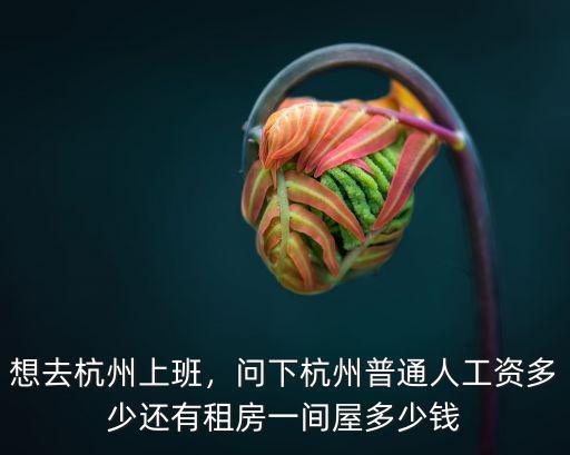 杭州現(xiàn)在年薪多少,問下杭州普通人工資多少
