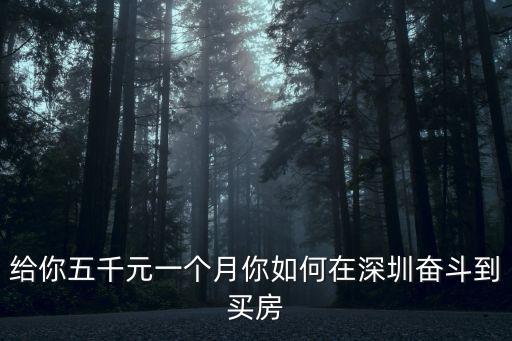 給你五千元一個月你如何在深圳奮斗到買房