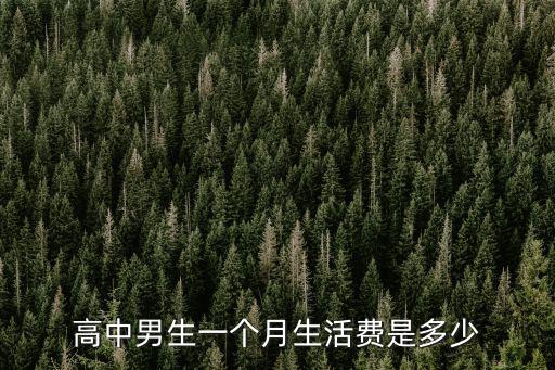 溫州高中生一個月生活費多少,高中男生一個月生活費是多少