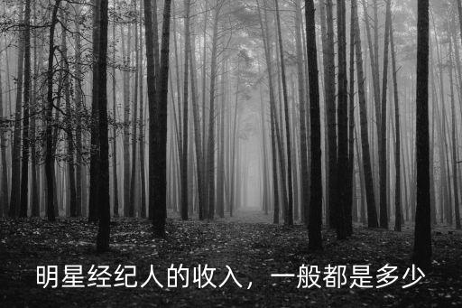佛山女明星經(jīng)紀人多少錢,做藝人經(jīng)紀到底能賺多少錢