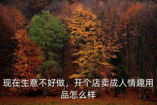 現(xiàn)在生意不好做，開(kāi)個(gè)店賣(mài)成人情趣用品怎么樣